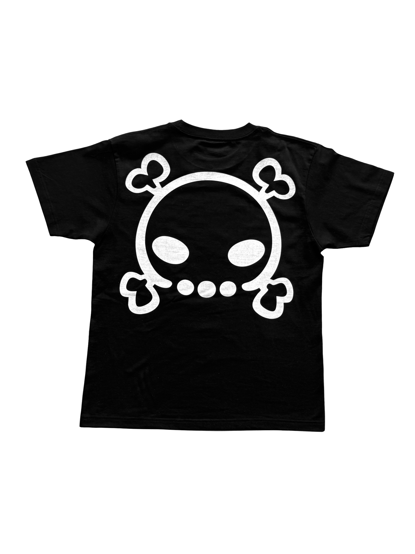 Skull Catalog T